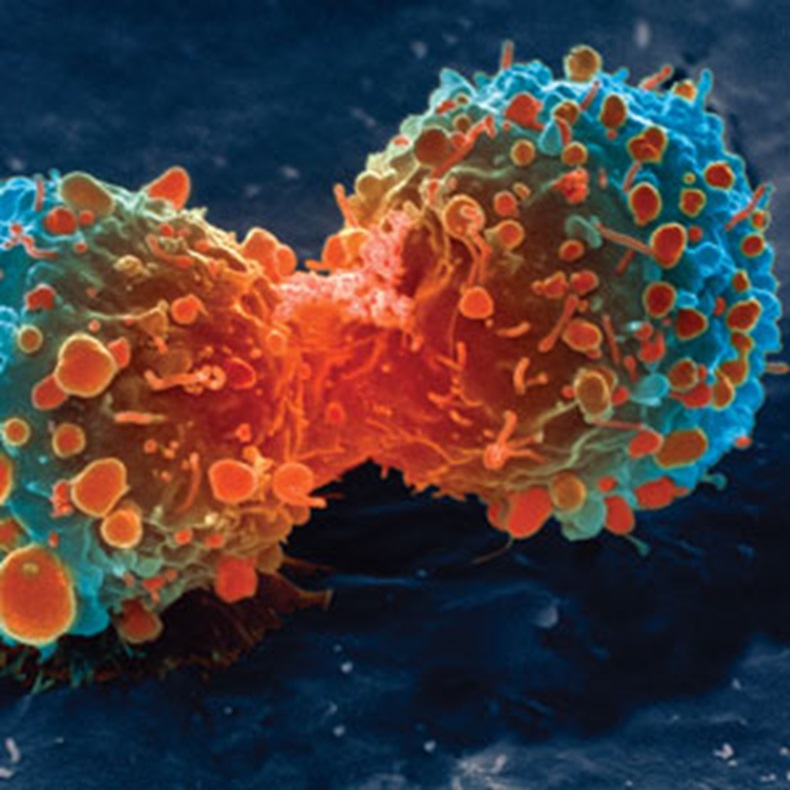 Cancer-cell-division-300x300.jpg