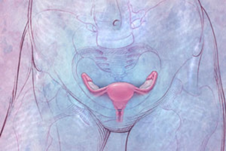 Ovary-anatomy.jpg