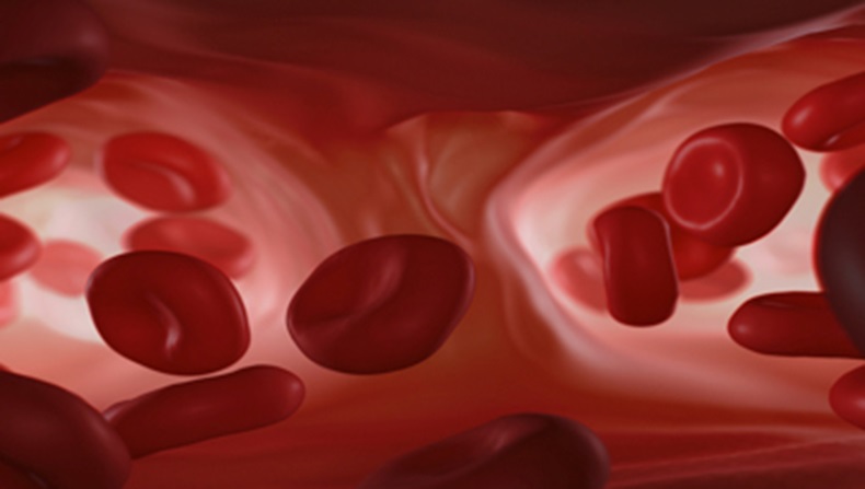 red-blood-cells.jpg