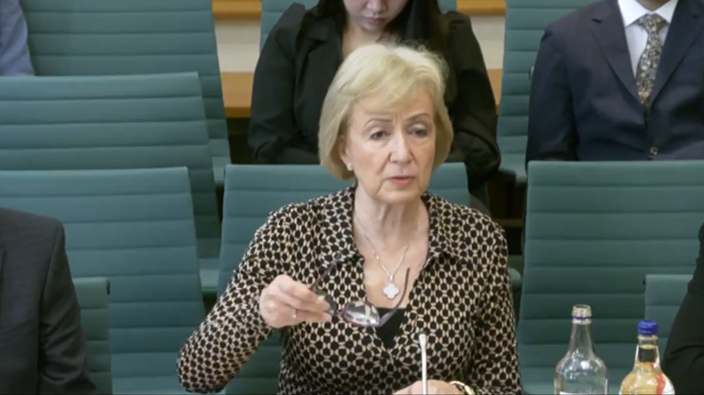 Dame Andrea Leadsom at the pharmacy inquiry 24/03/2024
