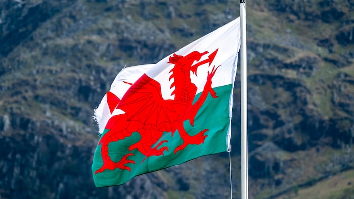 A flag of Wales which is a red dragon with a white top half and green bottom half block colour background on the flag