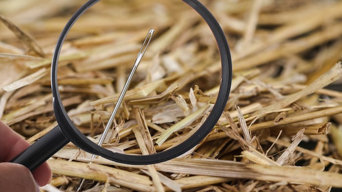 Looking through a magnifying glass and the eye of a needle at some hay