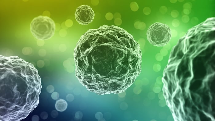 Single cell bacteria - the beginning of life on Earth concept illustration - Image