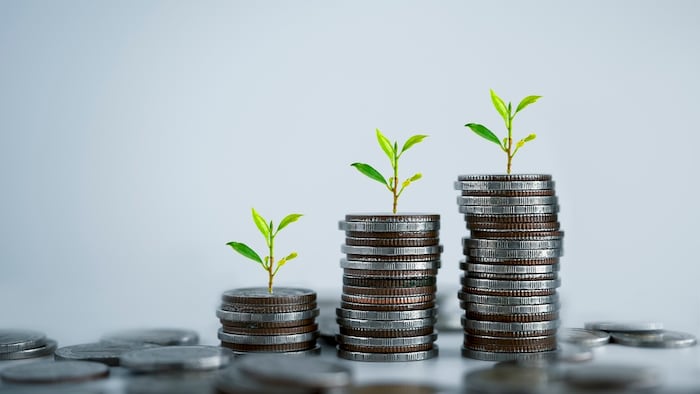 Money coin stack tree growing on coin business finance and money concept. Investment concept