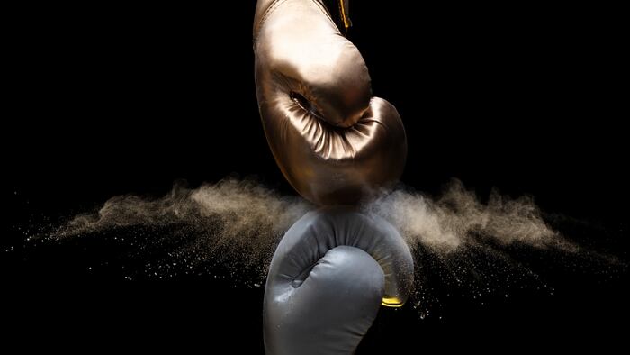 Two boxers
