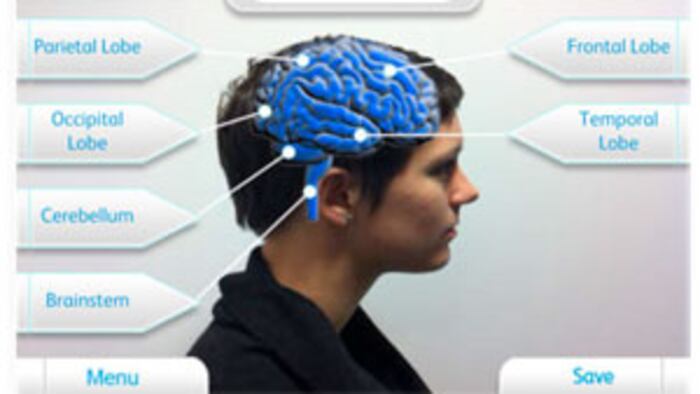 Brain Map