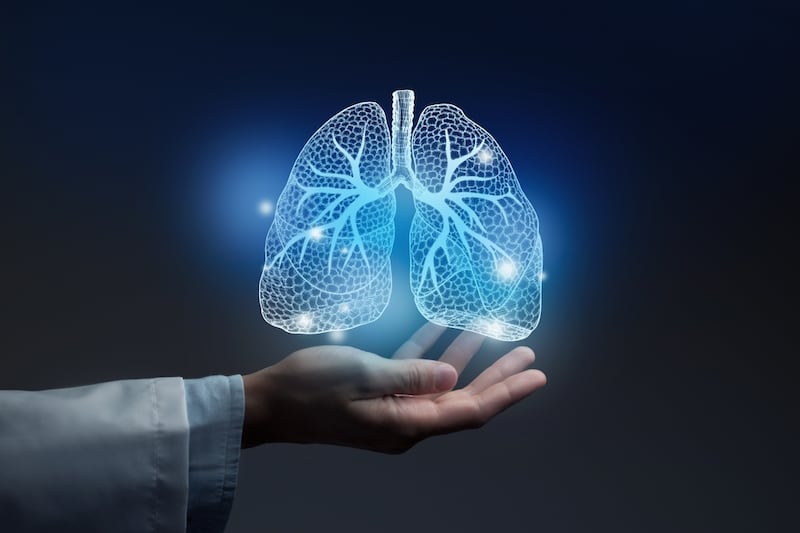 Lungs Illustration On Blue Background